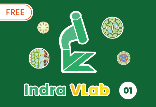 IndraVLab 01