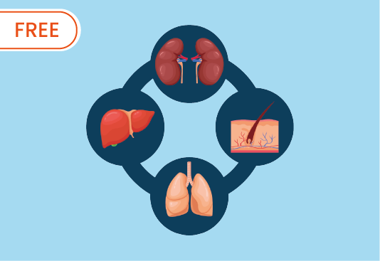 Sis Ekskresi Manusia